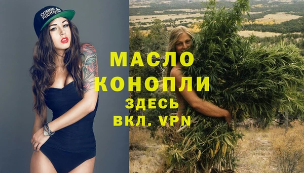 хмурый Арсеньев