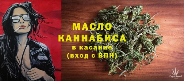 хмурый Арсеньев