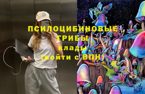 не бодяженный Аркадак