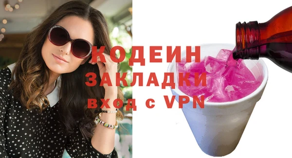хмурый Арсеньев